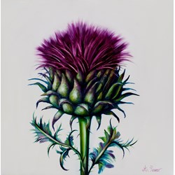 Thistle & Thorns