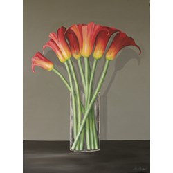 8 Arum Lillies