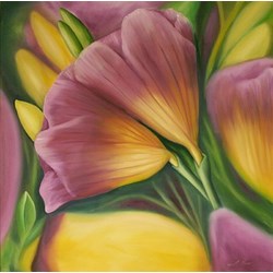 Pink Freesias