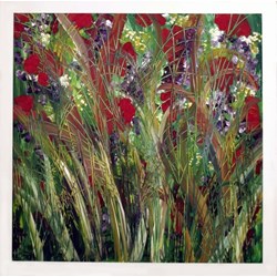 Summer Flowers