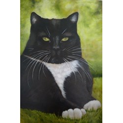 My Cat